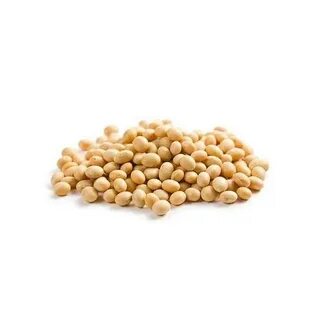 Bean 1