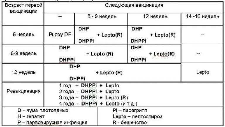 Схема прививок Нобивак для собак. Схема прививок Nobivac для собак. Нобивак для собак график прививок. Схема прививок Nobivac для щенков. Прививки для щенков график