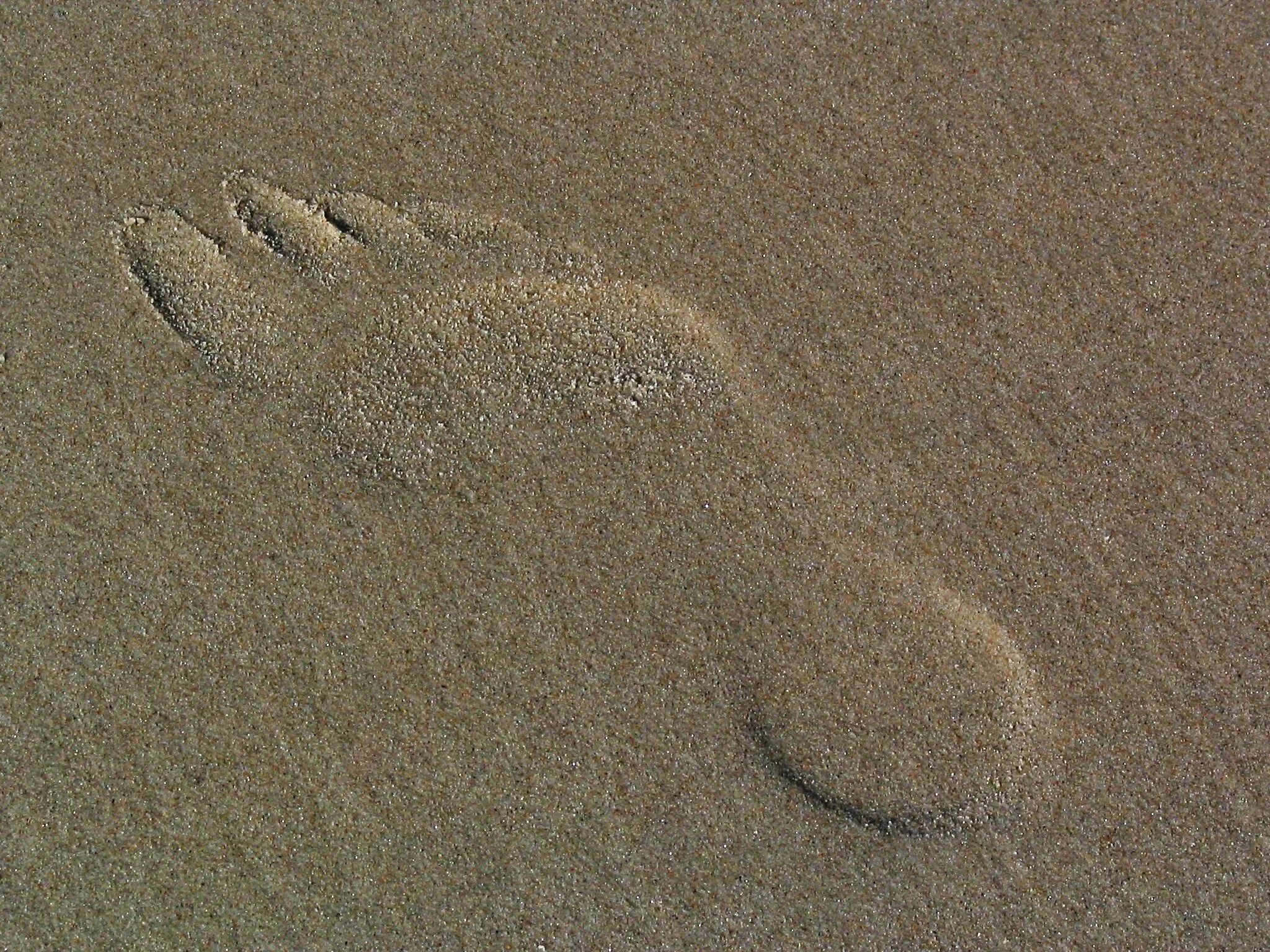 Текст следы на песке. Следы на песке. Песок пляж текстура. Следы на пляже. След фото.