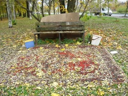 У подножия кленов ковром лежали желтые