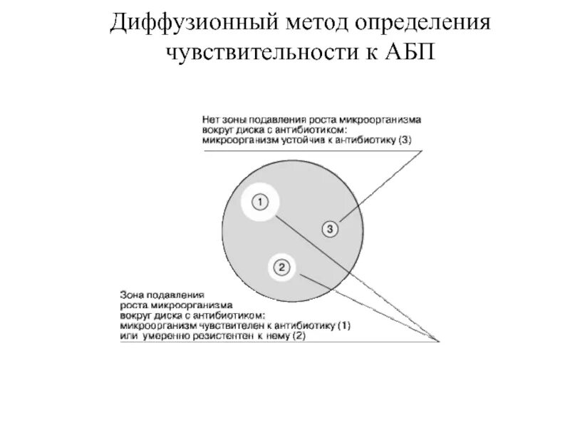 Методика определения часов. Диффузный метод определения чувствительности. диффузионный метод определения чувствительности бактерий. этапы определения чувствительности микроорганизмов. этапы определения чувствительности микроорганизмов к абп.