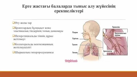 Қария мен кемпір жұлқып жүр