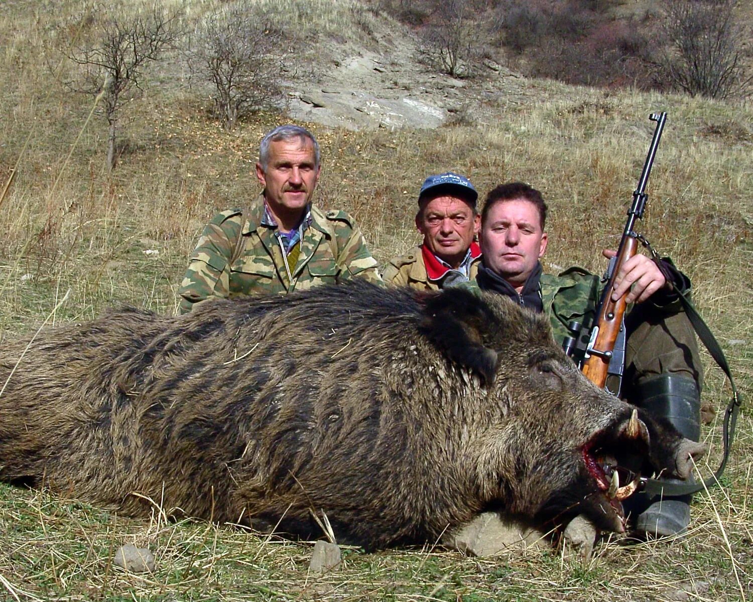 Мархур охота в Таджикистане. Дикий кабан в Таджикистане. Охота на кабана в Дагестане.