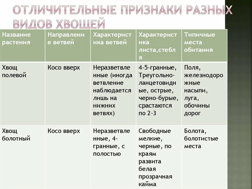Значение хвощей таблица. Значение хвощей таблица