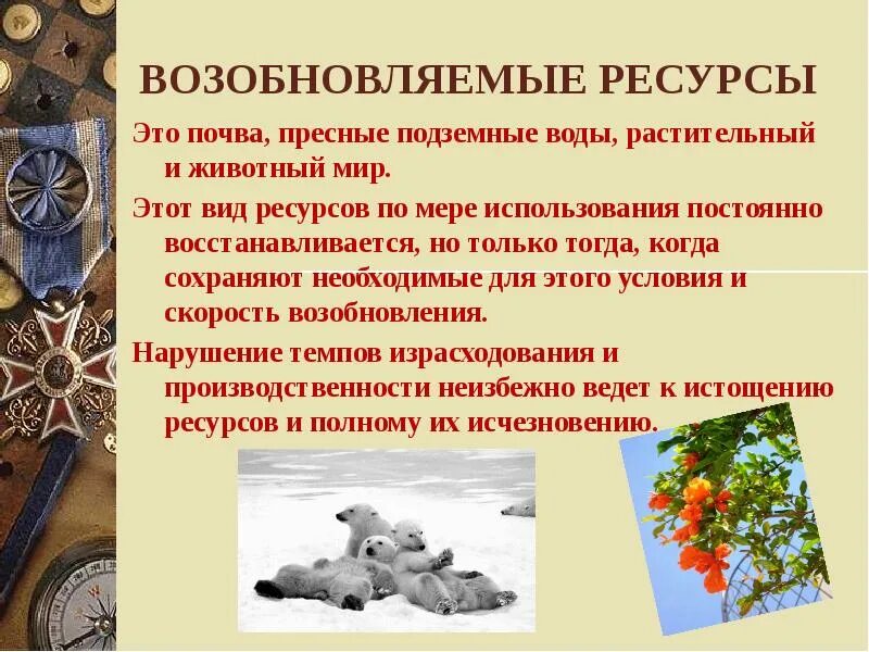 Ресурс. Возобновляемые природные ресурсы. Возобновляемый природный ресурс. Возобновимые природные ресурсы. Восстанавливаемые природные ресурсы.