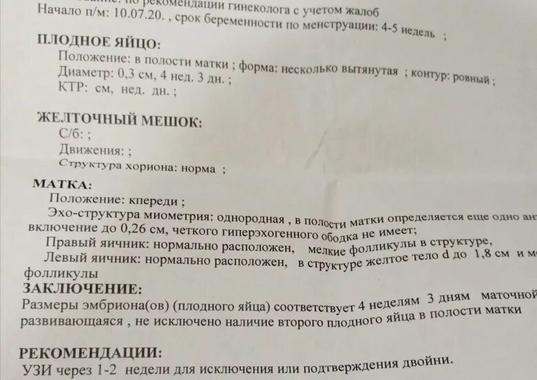 Плодное яйцо 5 мм какой срок. Плодное яйцо на узи 3 мм при беременности. размер плодного яйца в 5-6 недель беременности. диаметр плодного яйца в 4 недели беременности. узи беременности 4 недели свд.