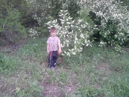 Погода в николькино