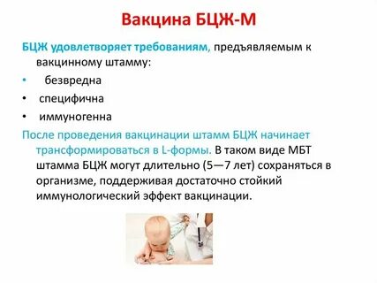 Прививка после бцж через сколько