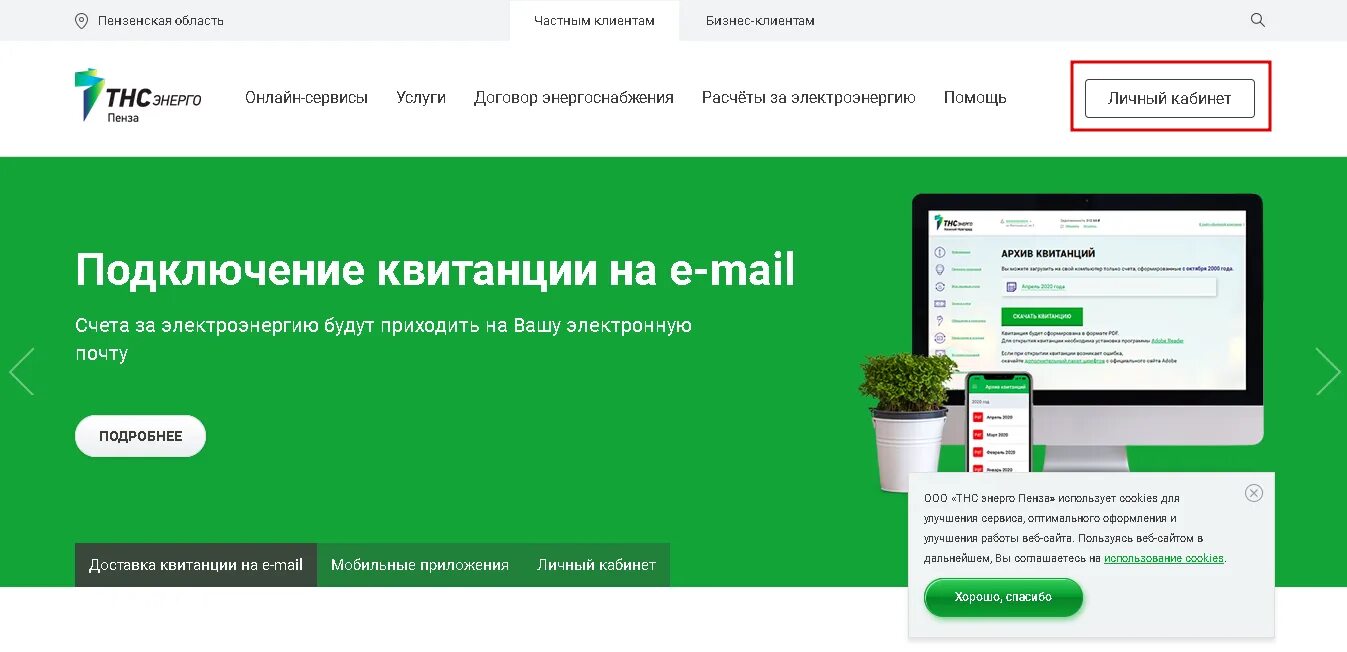 ТНС Энерго Пенза. ТНС Энерго Пенза личный. ТНС Энерго личный кабинет. ТНС Пензаэнерго личный. Voronezh tns e ru передать