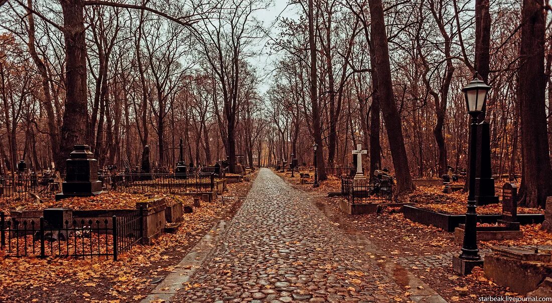 Сайт кладбищ спб. Смоленское лютеранское кладбище. Смоленское лютеранское кладбище Васильевский остров. Смоленском лютеранском кладбище в Санкт-Петербурге. Питер Смоленское лютеранское кладбище.