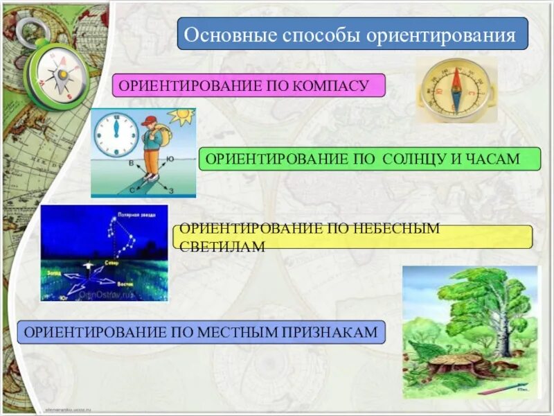 Ориентирование на местности. Способы ориентирования. Ориентирование и способы ориентирования на местности. Способы ориентирования 5 класс география. Окружающий мир 2 класс тема ориентирование тест