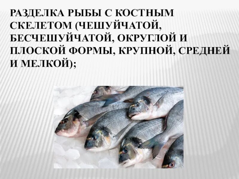 Обработка с костным скелетом. Разделка рыбы с костным скелетом. разделка чешуйчатой рыбы с костным скелетом. потрошение чешуйчатой рыбы. обработка рыбы с костным скелетом.