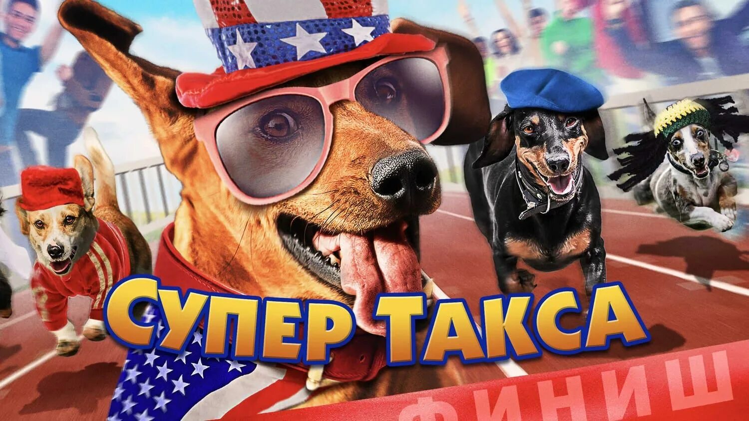 Супер такса 2015