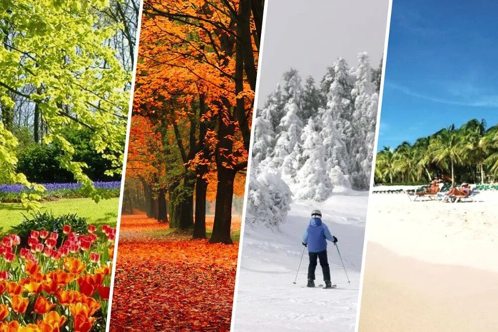 Зима лето пришло. Зима лето. Зимой и летом. Зима,Весна,лето,осень. Лето осень зима.