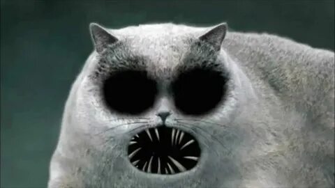 Включи кот страшилки
