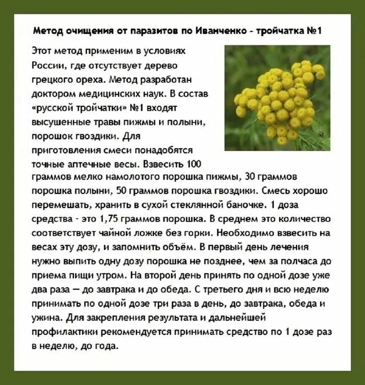 Пижма тройчатка гвоздика. Полынь пижма гвоздика пропорции. Тройчатка Иванченко от паразитов. Тройчатка Полынь пижма. Тройчатка Иванченко тройчатка Иванченко.