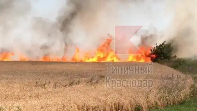 События произошедшие в краснодарском крае. Пожар в поле. пожары в краснодарском крае. пожарные краснодарский край.
