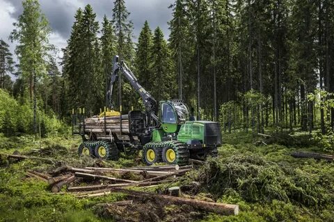 Заготовка леса процесс сложный