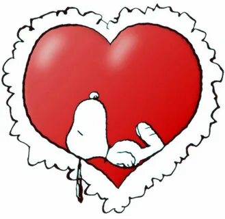 Y amor