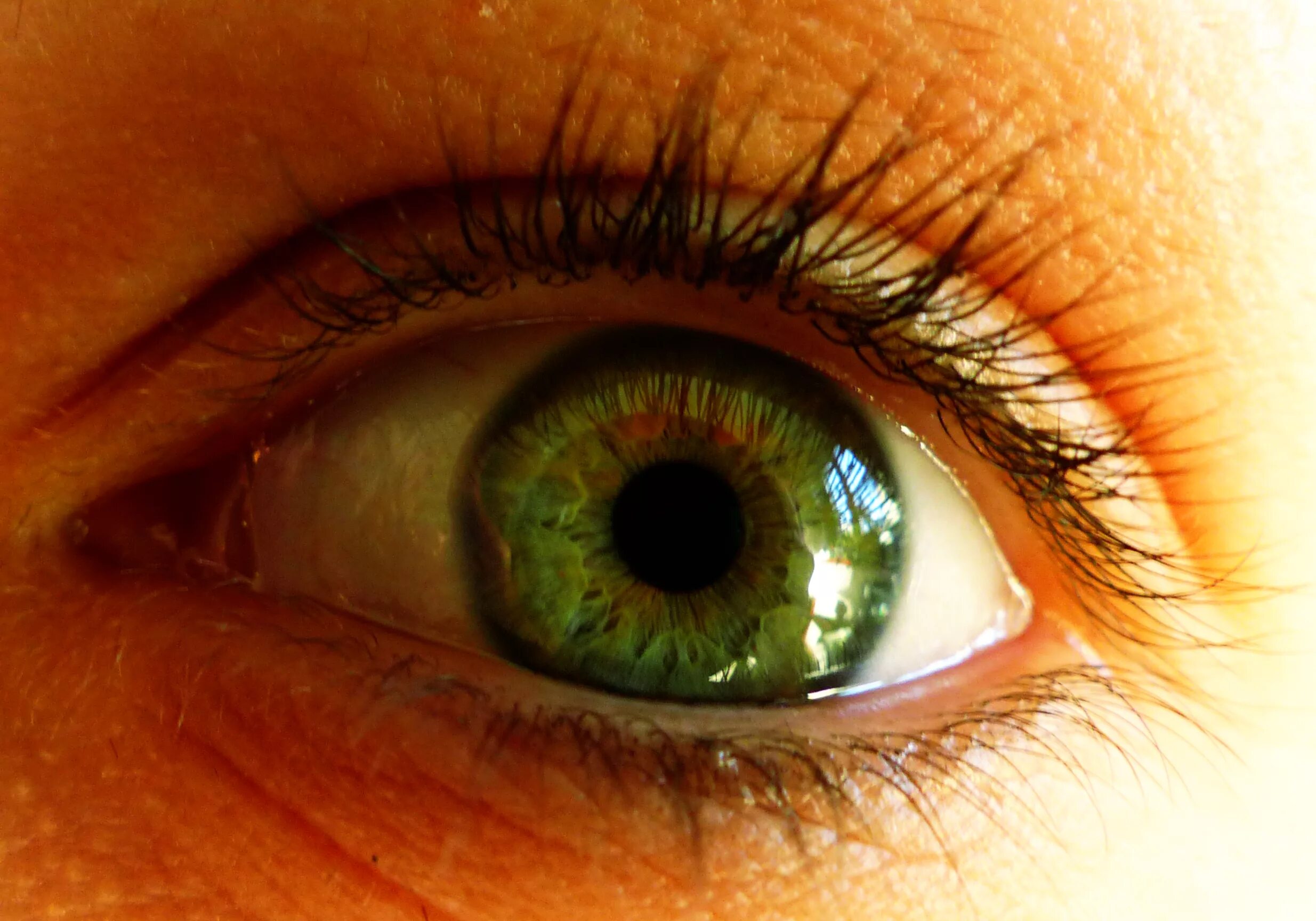 Признаки зеленых глаз