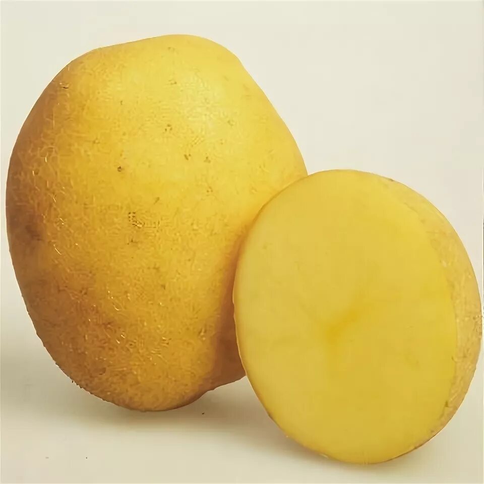 Семенной картофель Винета. Винета сорт картофеля. Семена картофеля Джелли. Сорт картофеля Джелли.