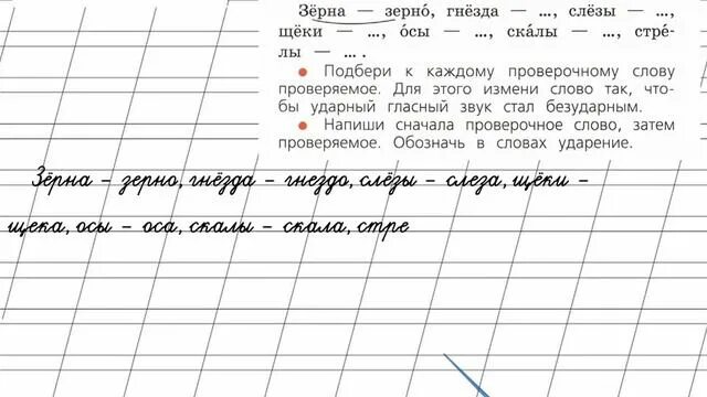 Русский язык первый класс стр 67. Зерно проверочное слово зерно. Зернышко проверочное слово. Прочитай проверочные слова зёрна-зерно. Прочитай проверочные слова.