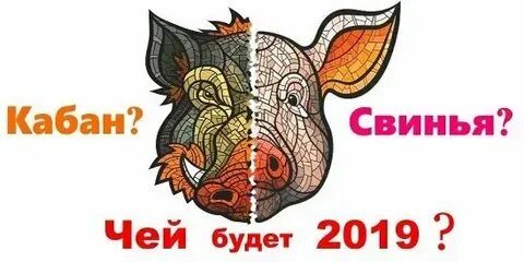 25 год это год какого животного