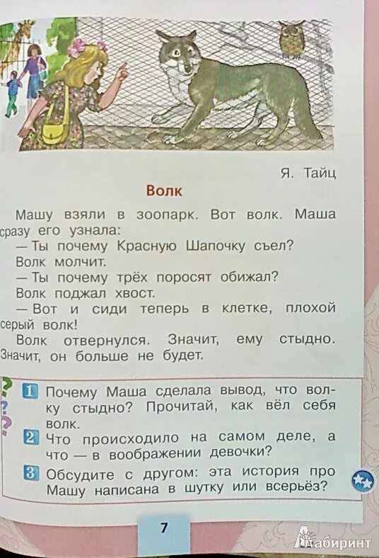 Тайц читать. Тайц волк. Литературное чтение волк. Тайц волк чтение. Рассказ волк я Тайц.