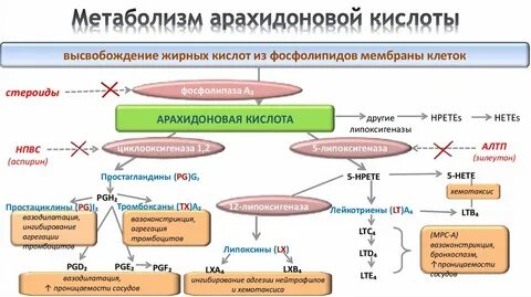 Кислоты воспаления