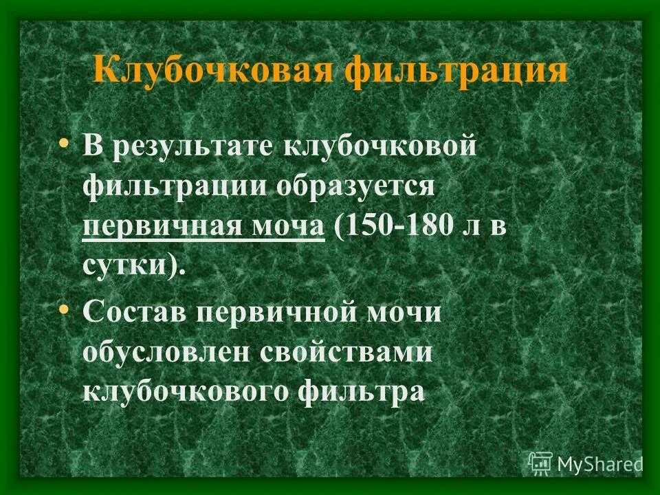 Механизм образования первичной мочи и вторичной мочи. Процесс образования первичной мочи происходит в. Первая фаза мочеобразования. Фильтрация плазмы крови в нефроне происходит в. Фильтрационная функция почек.