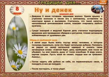 Календарь народных примет на июнь 2024
