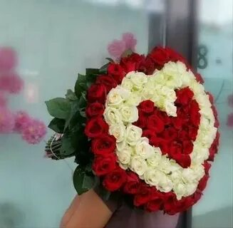 Авито воронеж цветы