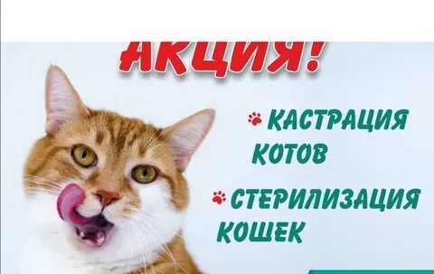 Вред кастрации