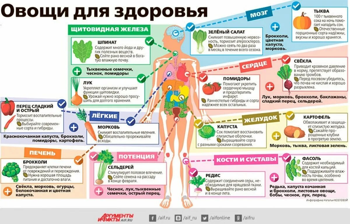 Правильное питание инфографика. Полезности для здоровья. Полезные овощи для здоровья. Инфографика здоровье. Какой крайне полезно