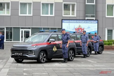 Законопроект о добровольческих в росгвардии