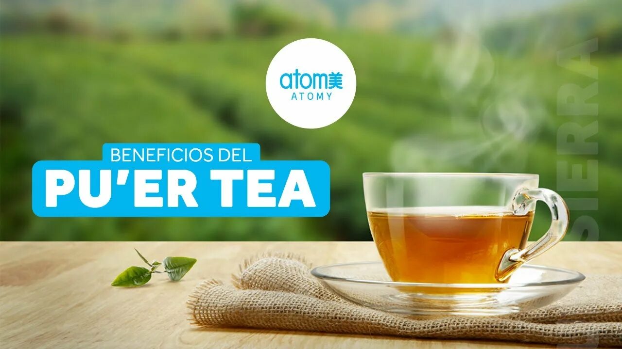 Пуэр атоми. Атоми puer tea. атоми чай для похудения. чай пуэр от атоми для похудения. чай повер.