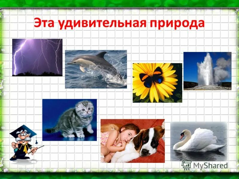 Эта удивительная природа 3 класс тест. Живая и ее живая природа. Обобщение по разделу эта удивительная природа. Тест по окружающему миру 3 класс эта удивительная природа. Обобщение по разделу эта удивительная природа.