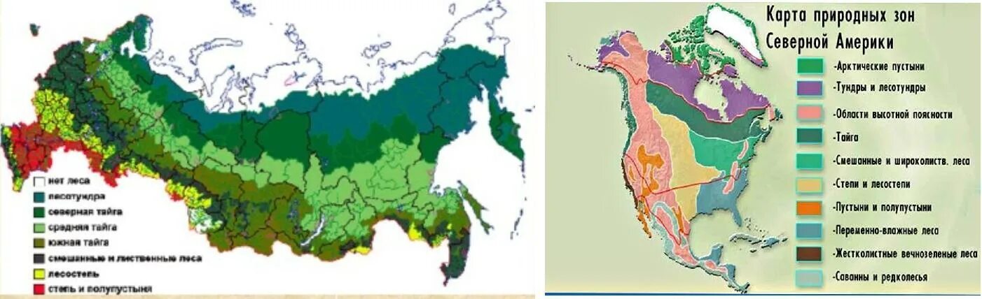 Где находится лес на карте