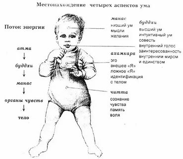 Буддхи