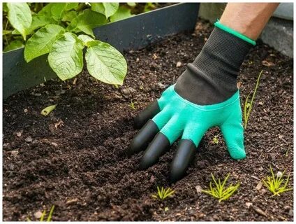 Gardens hands