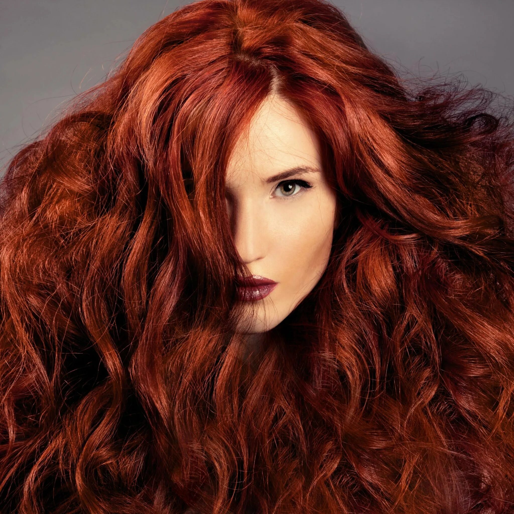 Эстель огненно рыжий. Красный Тициан цвет волос. Темный Тициан цвет волос. Рыжие волосы яркие. Какой ген рыжих волос