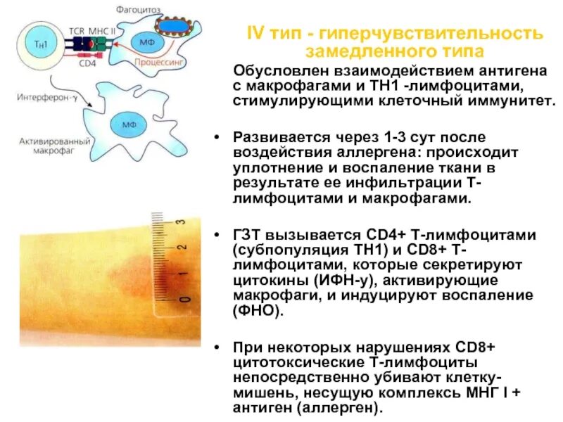 Тип через. Тип через. Сахарный диабет 2 типа тип наследования. Особенности методов. Типы величин в информатике.