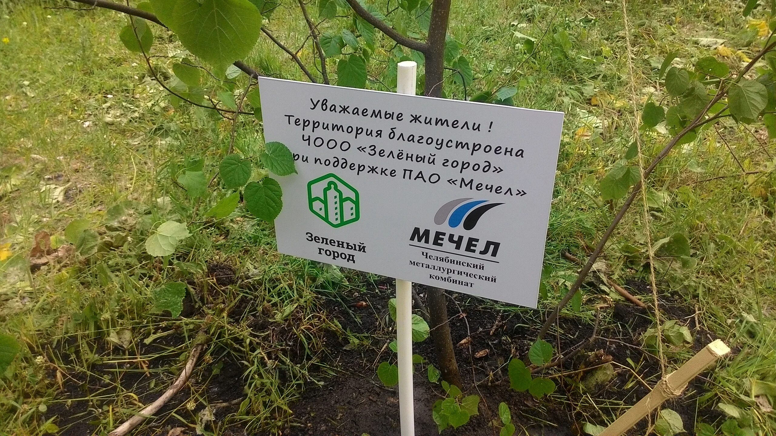 Работа в зеленом городе