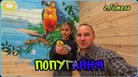 Попугайня просп стачек 39 отзывы