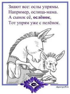 Как не быть упрямым