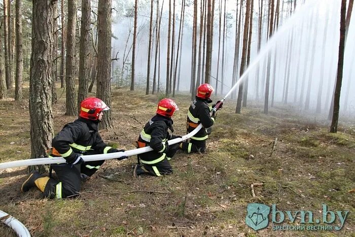 Профессия спасатель рб. Мчс рб пожар. Белорусские пожарные. Мтз спасатель беларусь. День спасателя в беларуси информационный час.
