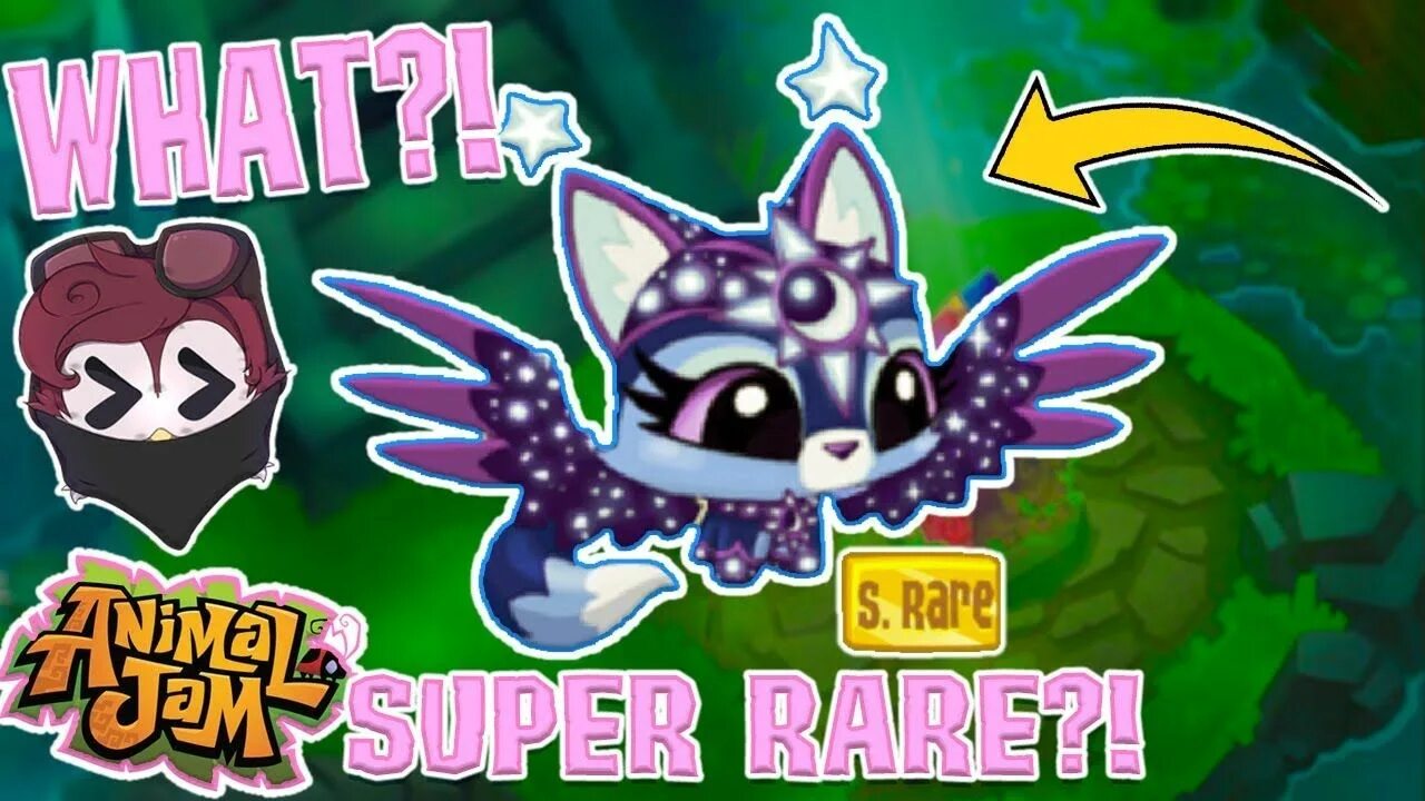 Rare pets. Радужный енот Энимал джем. Энимал джем Midnight Kitten. Animal Jam: Design cute Pets. Бетта 903 Энимал джем.