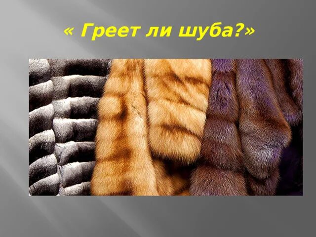 Греет ли. Греет ли шуба. Греет ли шуба? Проект. Греет ли шуба физика 8 класс. Греет ли шуба физика.