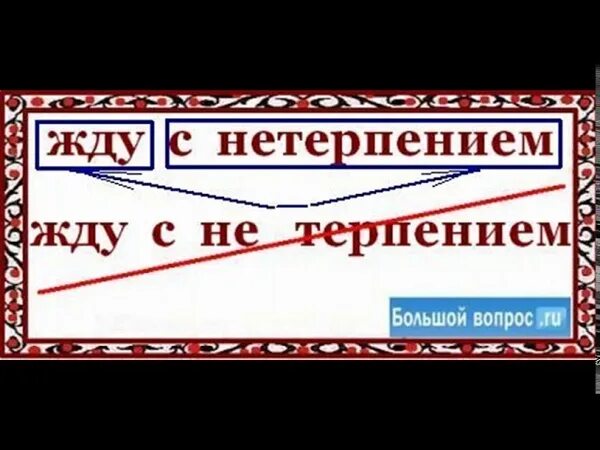 Не ожидая как пишется. Не терпением или нетерпением как пишется. С нетерпением или с нетерпеньем. С нетерпением как пишется. Жду с нетерпением как пишется правильно.