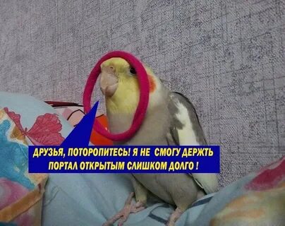 Открой слишком
